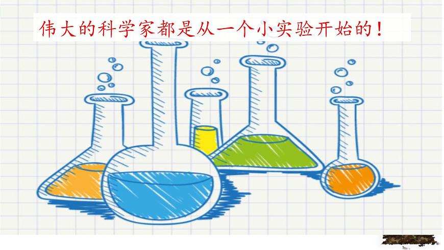 小學語文人教課標版（部編）三年級下冊習作：我做了一項小實驗 4課件PPT第3頁