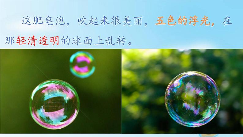 小学语文人教课标版(部编)三年级下册20肥皂泡 6课件PPT07