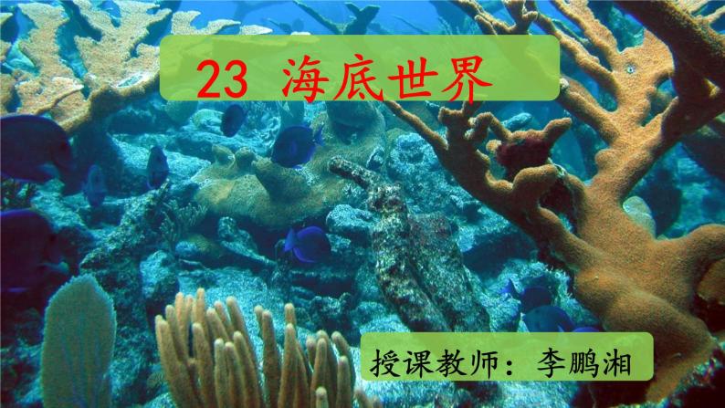 小学语文人教课标版（部编）三年级下册23海底世界 2课件PPT01