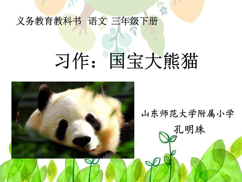 小学语文人教课标版(部编)三年级下册习作:国宝大熊猫课件PPT01