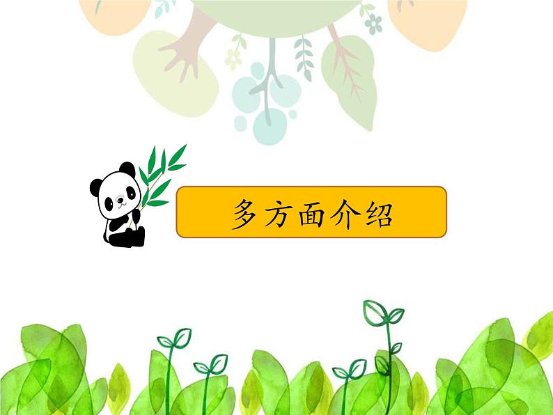 小学语文人教课标版(部编)三年级下册习作:国宝大熊猫课件PPT03