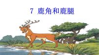 语文三年级下册7 鹿角和鹿腿教课课件ppt