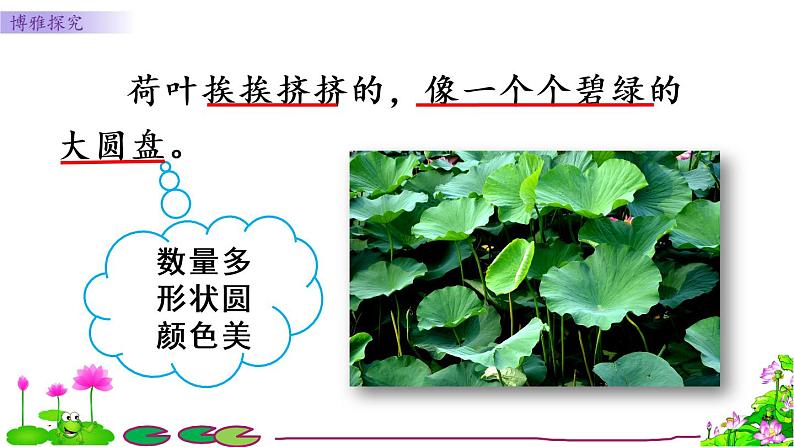 小学语文人教课标版(部编)三年级下册3荷花课件PPT第5页