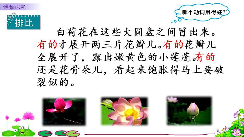 小学语文人教课标版(部编)三年级下册3荷花课件PPT第6页
