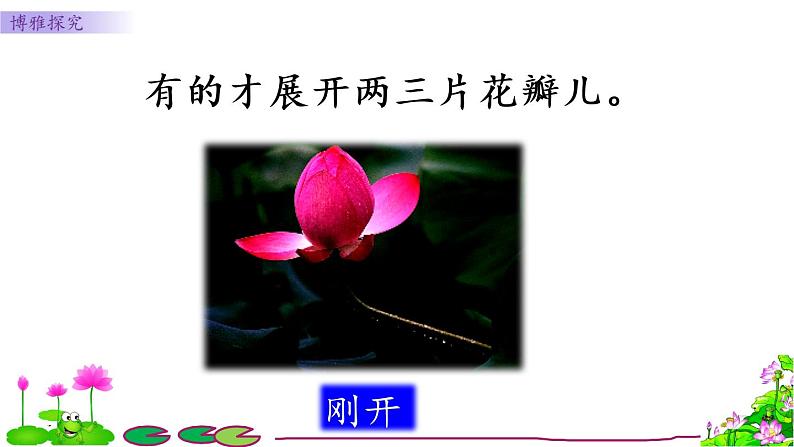 小学语文人教课标版(部编)三年级下册3荷花课件PPT第7页