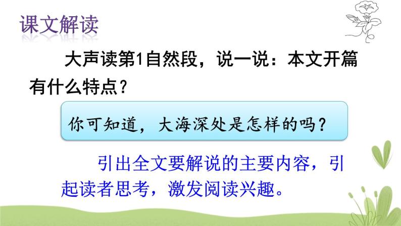 小学语文人教课标版（部编）三年级下册23海底世界 1课件PPT07