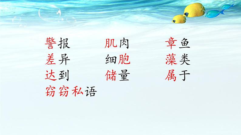 小学语文人教课标版(部编)三年级下册23海底世界 3课件PPT第2页