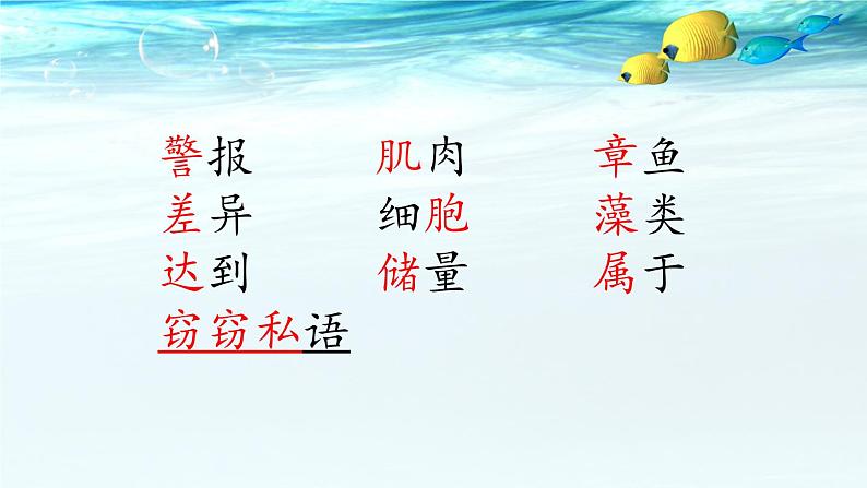 小学语文人教课标版(部编)三年级下册23海底世界 3课件PPT第3页