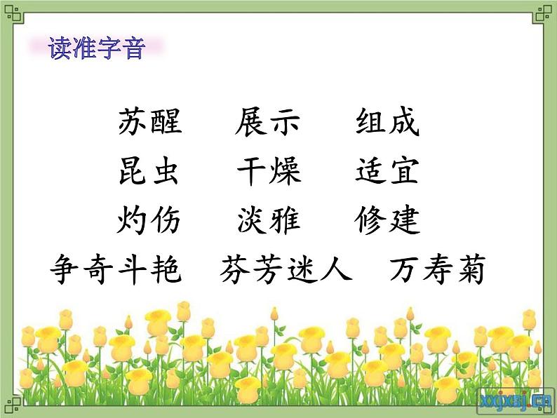 小学语文人教课标版(部编)三年级下册13花钟 1课件PPT第2页