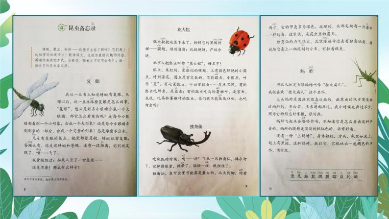 小学语文人教课标版（部编）三年级下册4昆虫备忘录课件PPT08