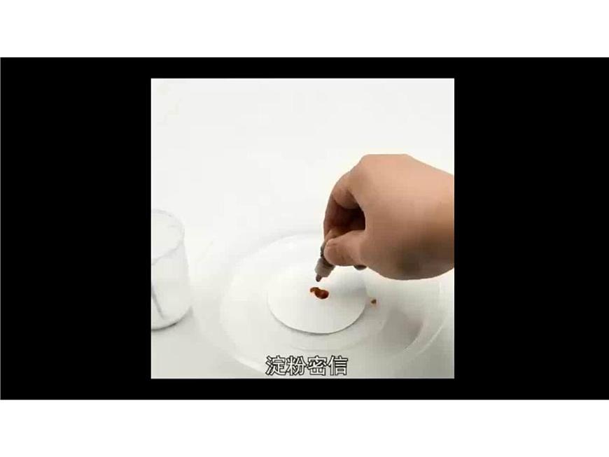 小學(xué)語文人教課標(biāo)版(部編)三年級(jí)下冊(cè)習(xí)作:我做了一項(xiàng)小實(shí)驗(yàn)課件PPT第2頁