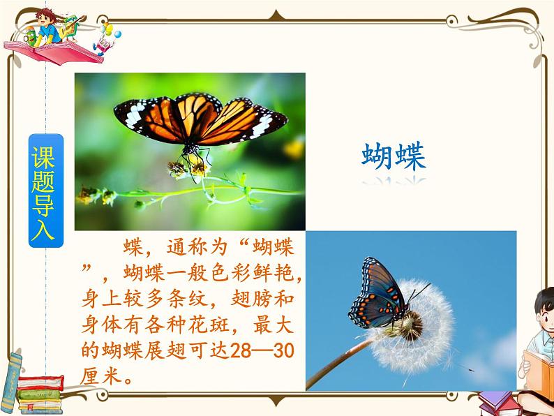 人教部编版四年级上册第二单元——8 蝴蝶的家【课件+教案+反思+朗读】02