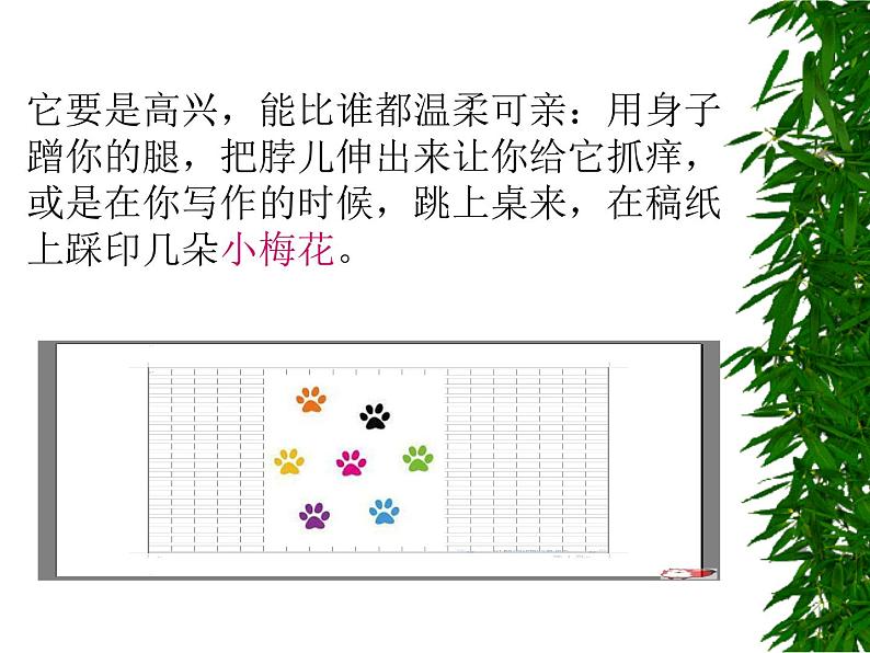 13猫 课件第7页