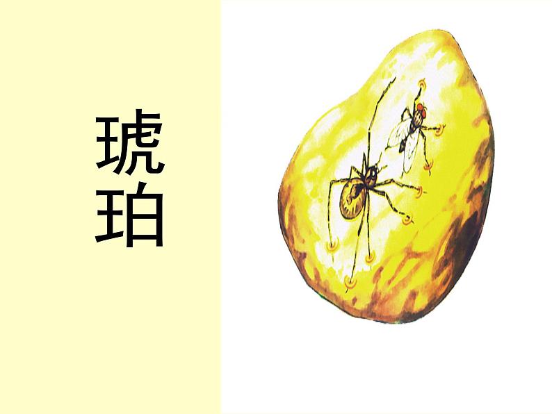 人教部编版语文四下-5琥珀 课件第1页