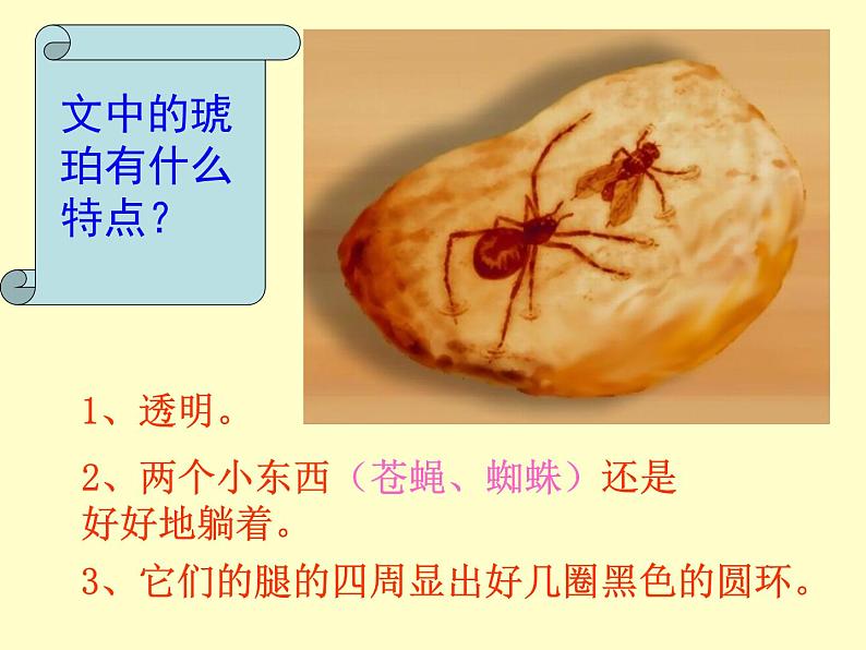 人教部编版语文四下-5琥珀 课件第3页