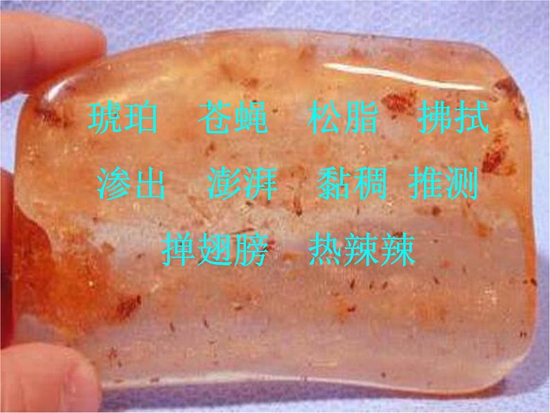 人教部编版语文四下-5琥珀 课件第4页