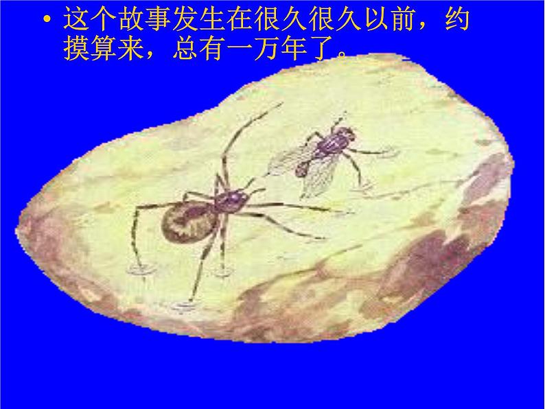 人教部编版语文四下-5琥珀 课件第7页