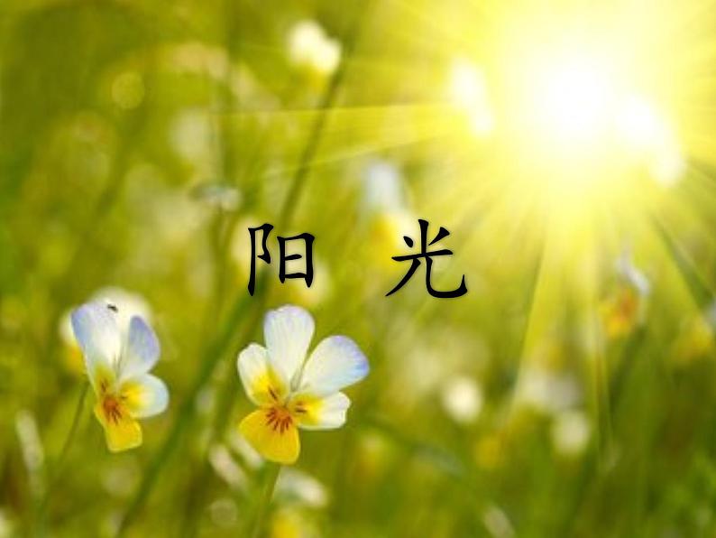 小学语文人教课标版(部编)一年级下册和大人一起读:阳光 课件第1页