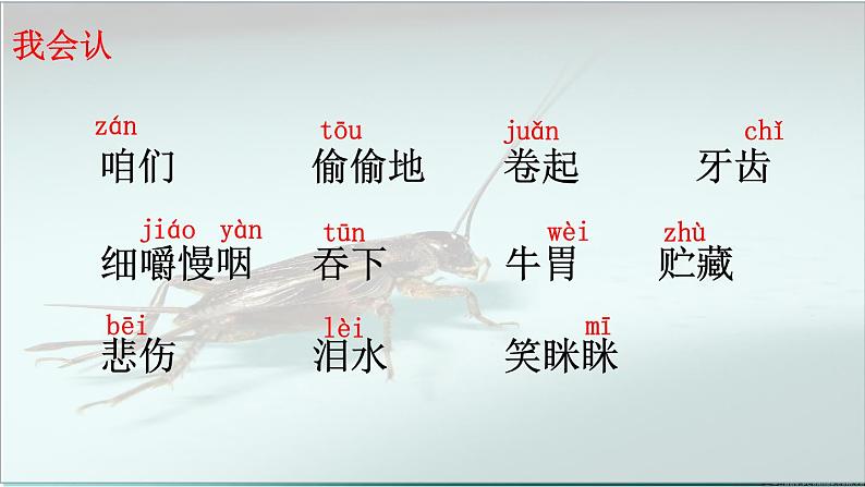 小学语文 人教课标版(部编) 三年级上册 《在牛肚子里旅行》 课件06