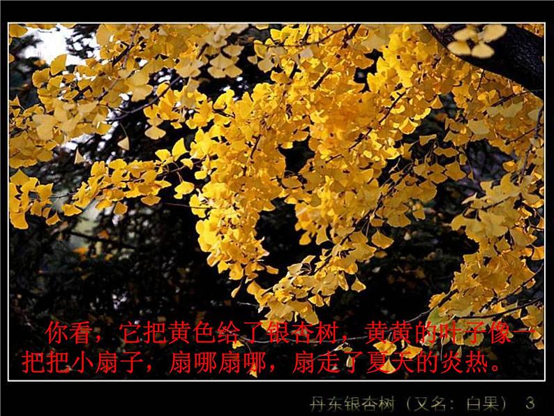小学语文 人教课标版(部编)三年级上册 6秋天的雨 课件03