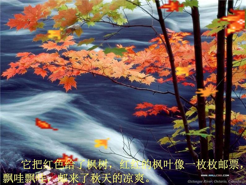小学语文 人教课标版(部编)三年级上册 6秋天的雨 课件04