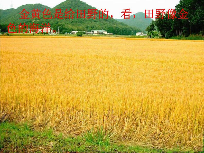 小学语文 人教课标版(部编)三年级上册 6秋天的雨 课件05