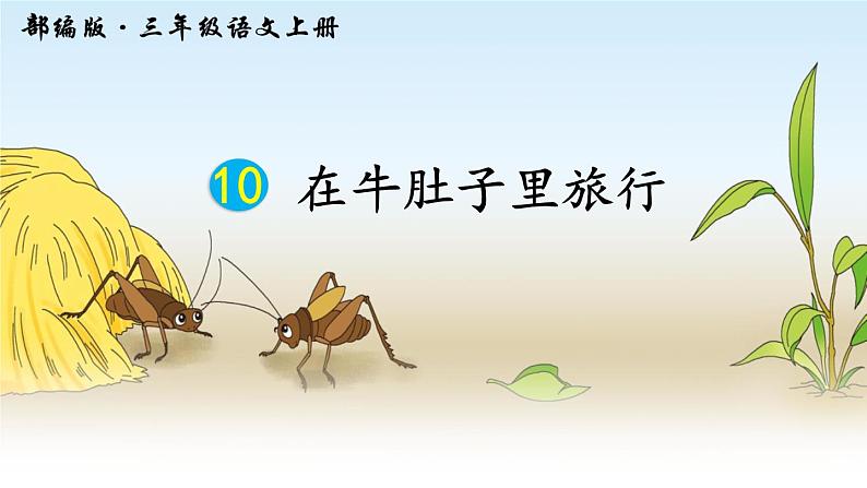 小学语文 人教课标版(部编)三年级上册 10 在牛肚子里旅行 10《在牛肚子里旅行》课件01