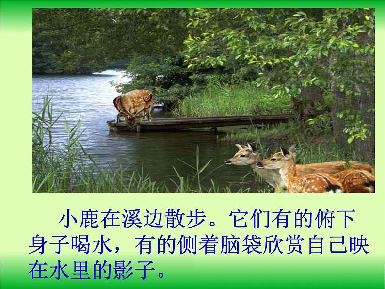 小学语文人教课标版(部编)三上20 美丽的小兴安岭 课件06