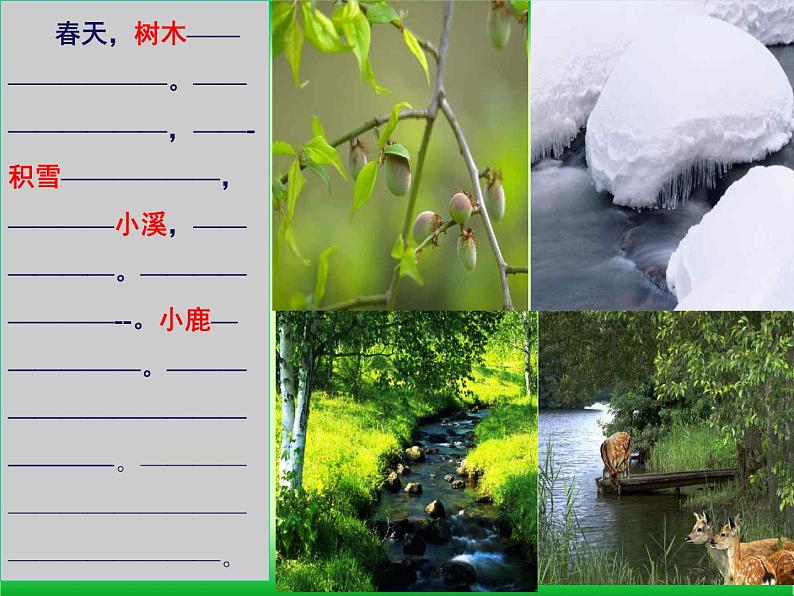 小学语文人教课标版(部编)三上20 美丽的小兴安岭 课件07