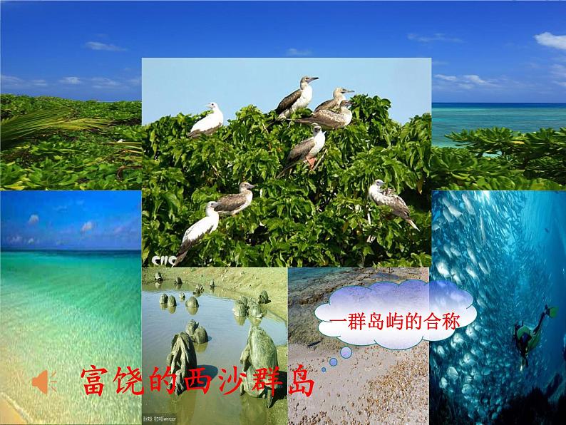 小学语文人教课标版(部编)三年级上册18富饶的西沙群岛 (1) 课件02