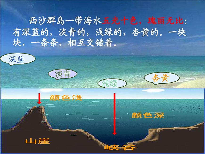 小學(xué)語(yǔ)文人教課標(biāo)版（部編）三年級(jí)上冊(cè)18富饒的西沙群島 (1) 課件第6頁(yè)