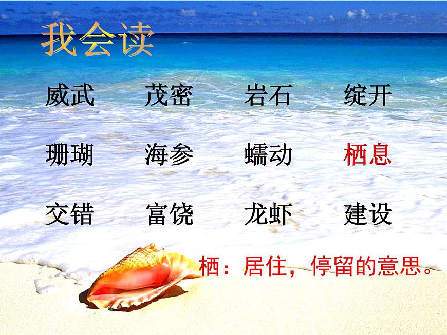 小學語文人教課標版（部編）三年級上冊 18 富饒的西沙群島 課件第5頁