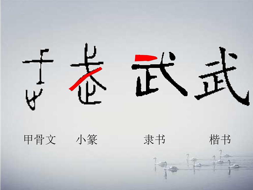 小學語文人教課標版（部編）三年級上冊 18 富饒的西沙群島 課件第6頁