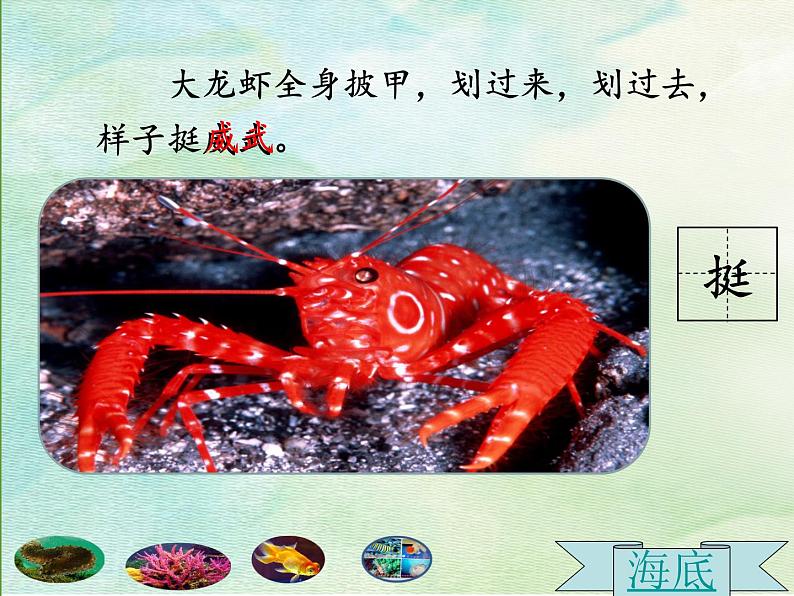小学语文人教课标版(部编)三年级上册18《富饶的西沙群岛》 课件03