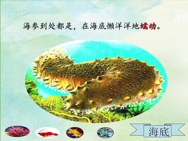 小学语文人教课标版(部编)三年级上册18《富饶的西沙群岛》 课件04