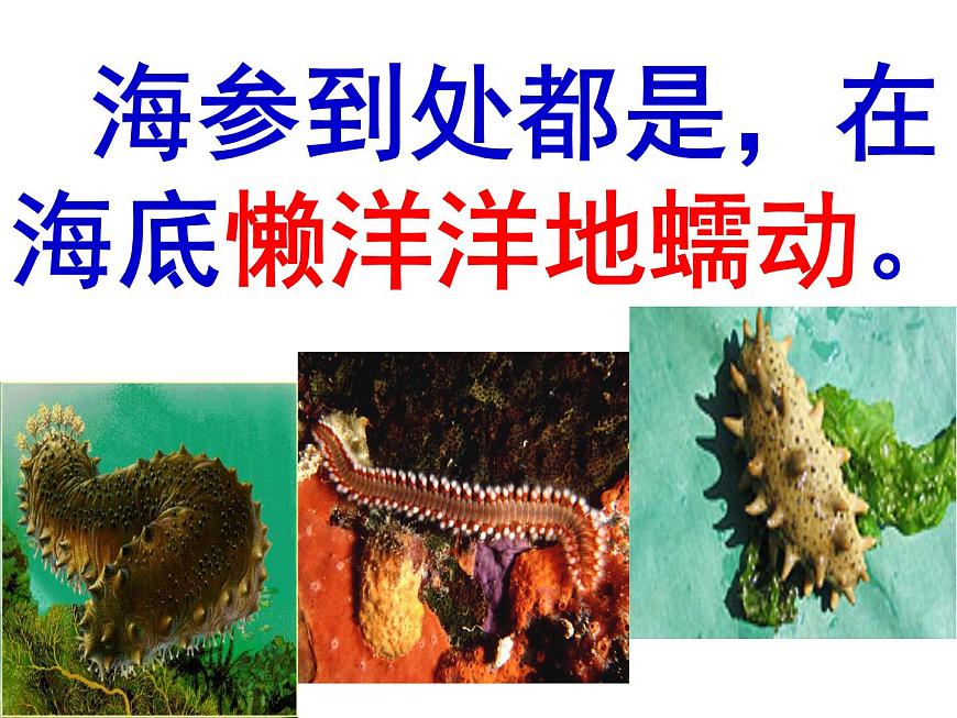 小學語文人教課標版（部編）三年級上冊18 富饒的西沙群島 (1) 課件第6頁