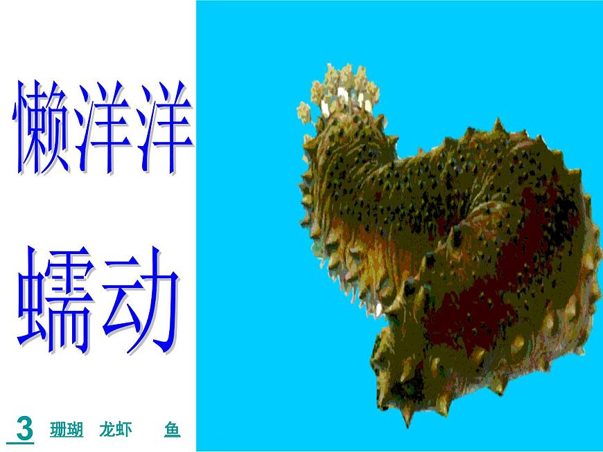 小學語文人教課標版（部編）三年級上冊18 富饒的西沙群島 (1) 課件第7頁