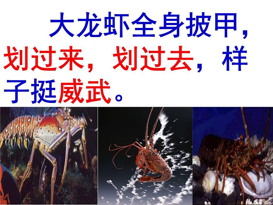小學語文人教課標版（部編）三年級上冊18 富饒的西沙群島 (1) 課件第8頁