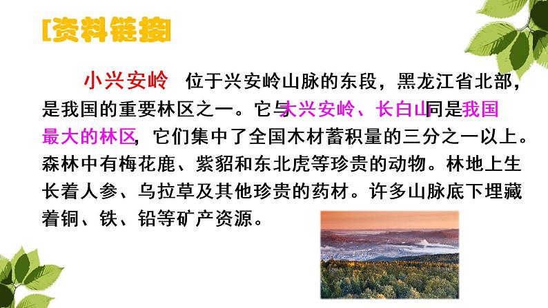 小学语文人教课标版(部编)三年级上册20 美丽的小兴安岭《美丽的小兴安岭》 课件03