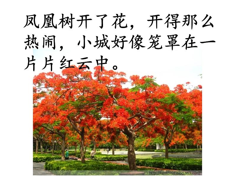 小学语文人教课标版(部编)三年级上册19《海滨小城》 课件08