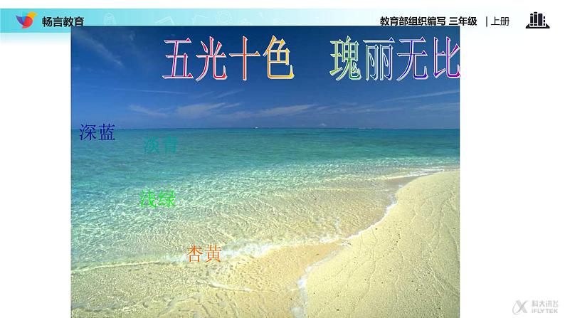 小学语文人教课标版(部编)三年级上册18 富饶的西沙群岛 课件第4页