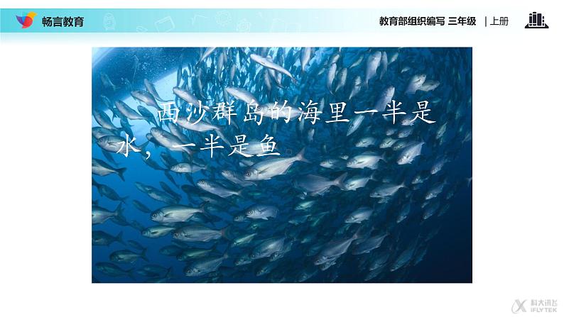 小学语文人教课标版(部编)三年级上册18 富饶的西沙群岛 课件第7页