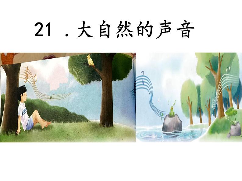 小学语文人教课标版(部编)三年级上册大自然的声音 课件第5页