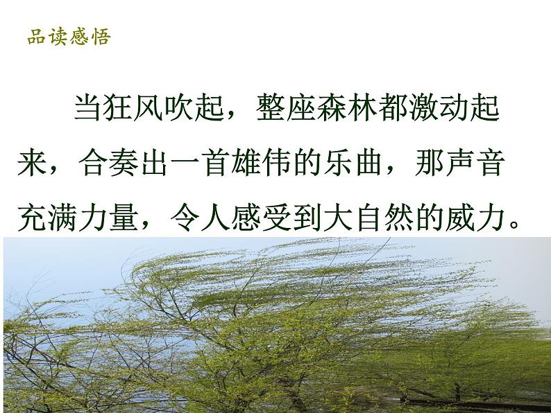 小学语文人教课标版(部编)三年级上册大自然的声音 课件第5页