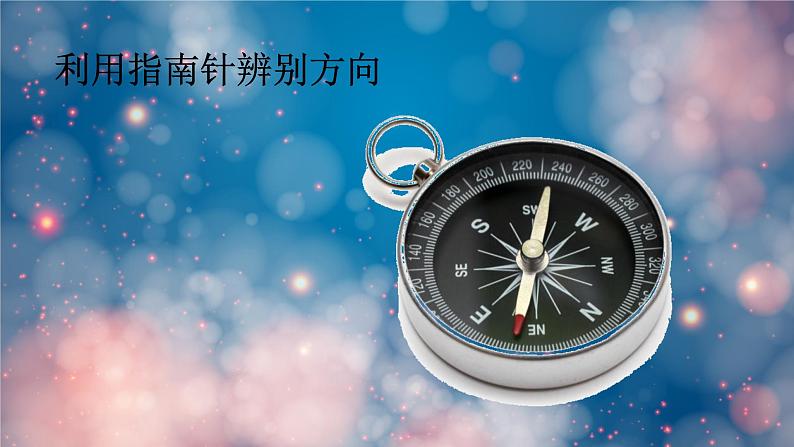 要是你在野外迷了路课件 部编版语文二年级下册第3页