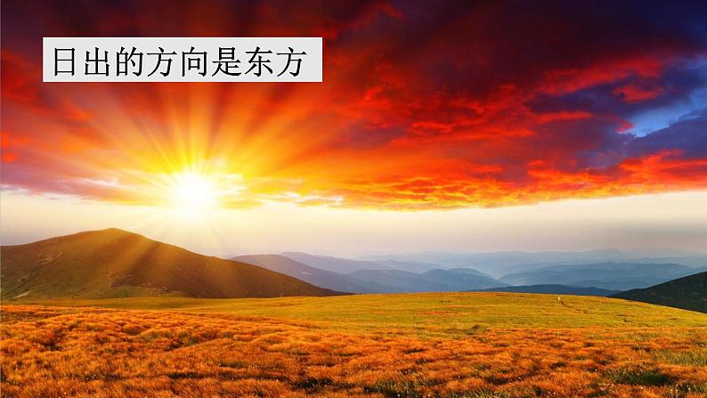 要是你在野外迷了路课件 部编版语文二年级下册第5页