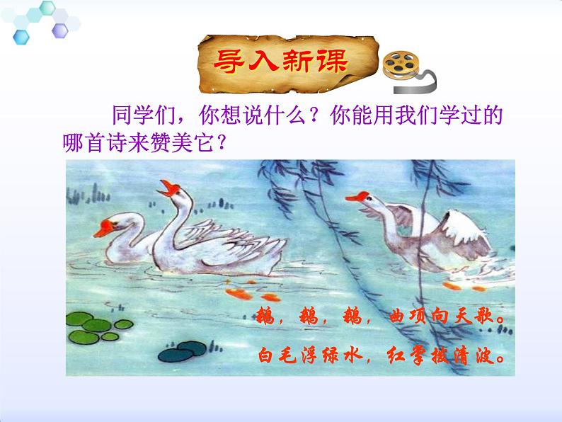 四年级下册语文课件-15白鹅 |部编版第2页