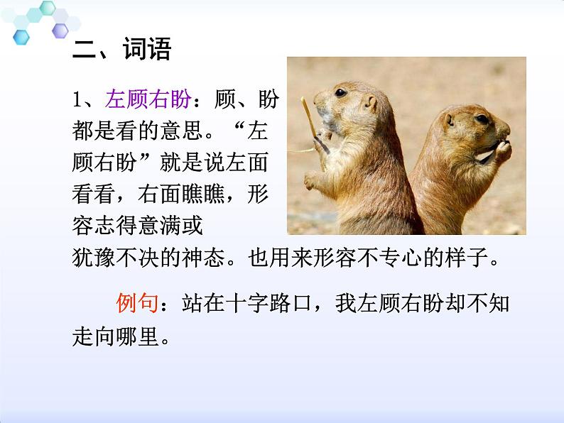 四年级下册语文课件-15白鹅 |部编版第6页