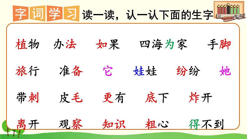 小学语文 人教2011课标版(部编) 二年级上册 植物妈妈有办法 课件第2页