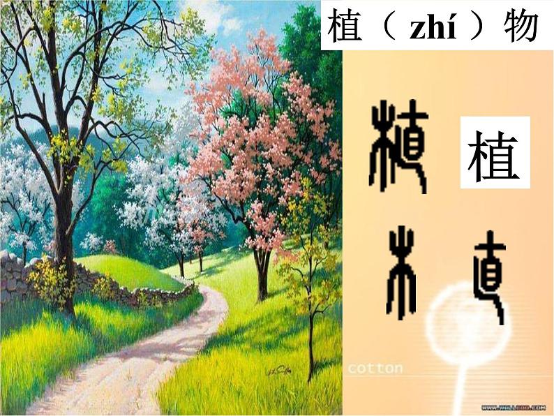 小学语文 人教2011课标版(部编) 二年级上册《植物妈妈有办法》第一学时课件 课件08